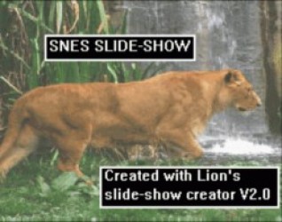 Hardcore Manga Slide Show (PD) Rom